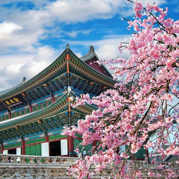 (Tours) - Elevate Your Travel Experience - 九游会